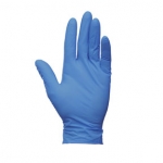 Nitrile Gloves, Powder Free, Large, 100/pk